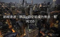 新闻速递：韩国g奶空姐成为焦点 · 新闻355