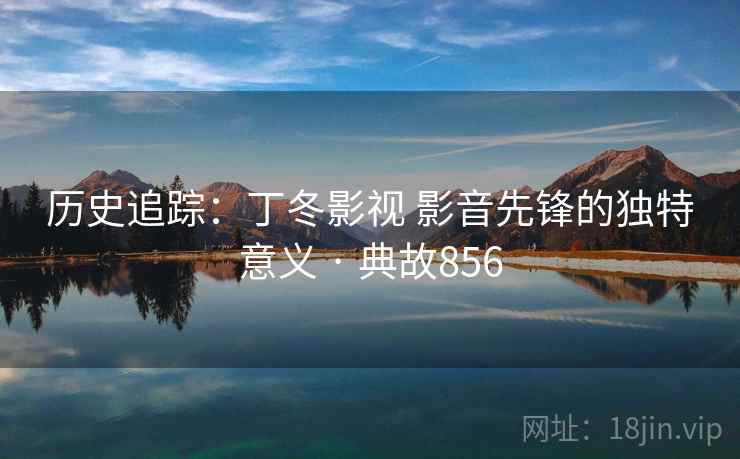 历史追踪：丁冬影视 影音先锋的独特意义 · 典故856